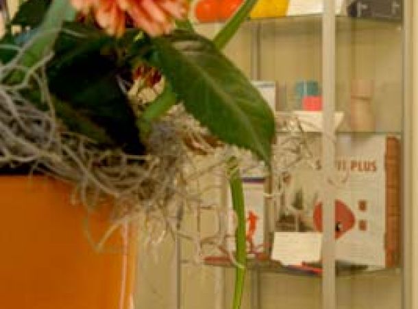 Einblicke in unsere Physiotherapie
